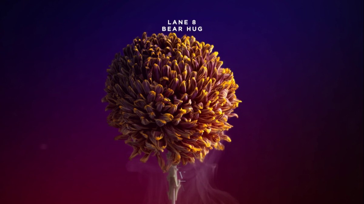 Lane 8 – Bear&nbsp;Hug
